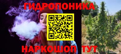 гашик Ливны
